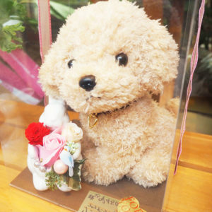 ワンちゃんのぬいぐるみとセットで...取り扱っているぬいぐるみはどれも肌触りが良くておすすめです。