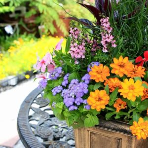 外に飾る大きな寄せ植えもおまかせください。