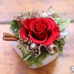 rose-mean01 rose-mean01